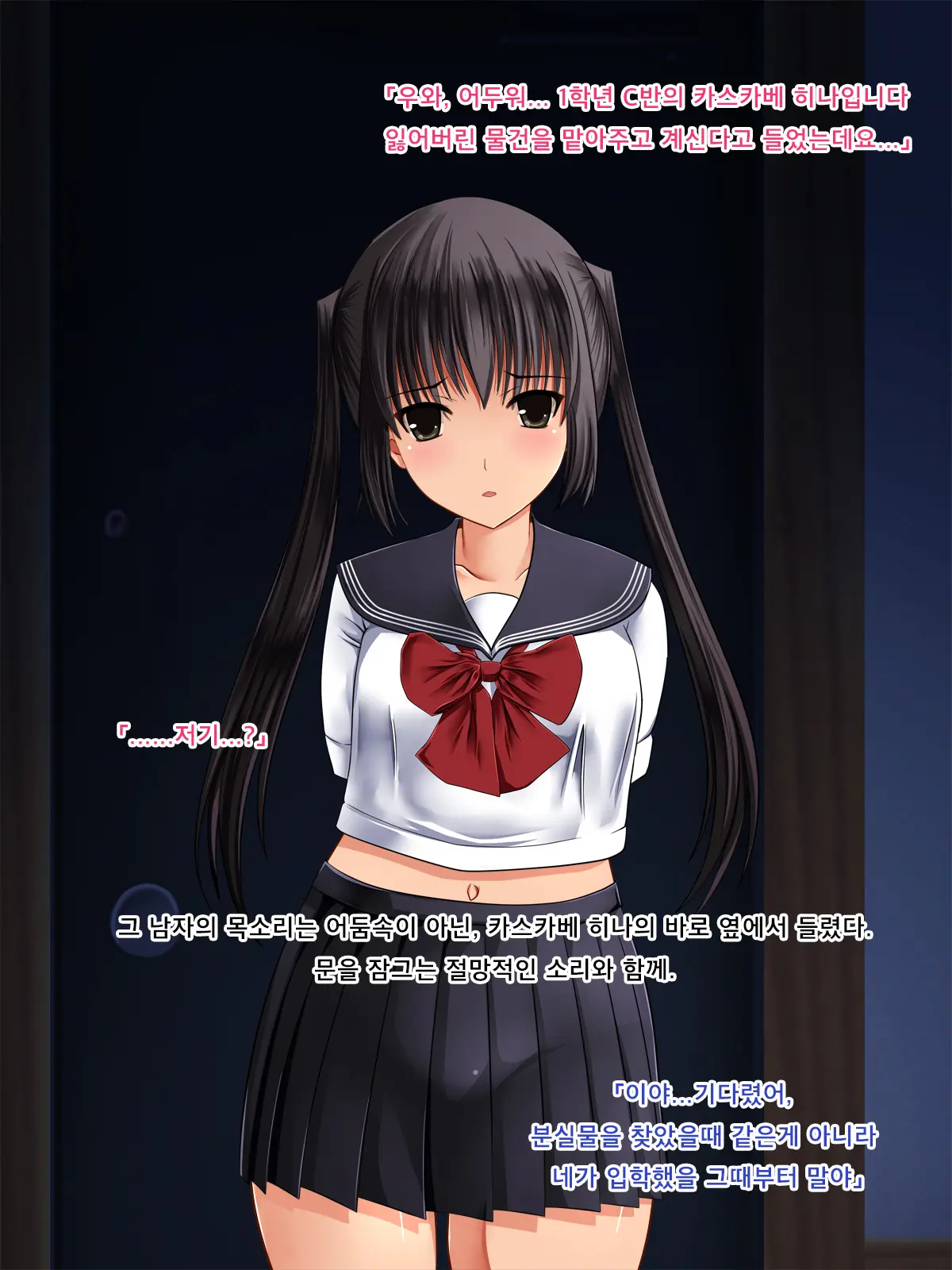 Twintail Bishoujo JK O Chuunen Youmuin Ga Zetsurin Nama Chinpo De Nakadashi Rape Shojo Soushitsu Jusei Sase Haramasete Kara Mo Chitsunai Shasei Sex Shitsuzukeru Hanashi